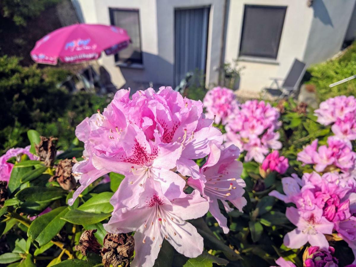 Ferienwohnung Mit Terrasse Ґрімма Екстер'єр фото